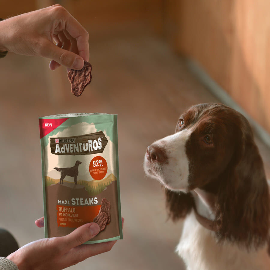 70 g Adventuros Filetes Maxi de B&uacute;falo para perros, , large Imagen numero 6